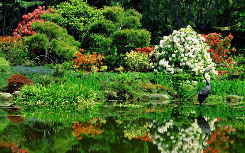 Heron Statue in Pond