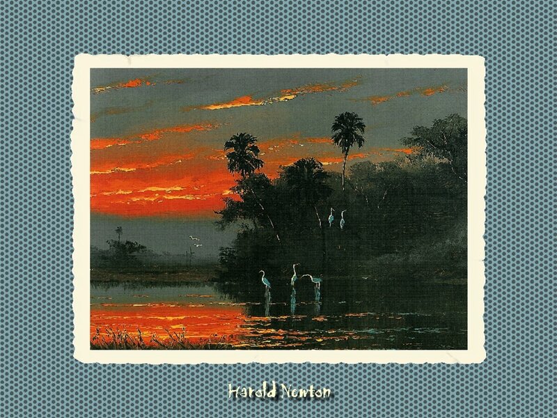 Herons in Swamp at Sunset