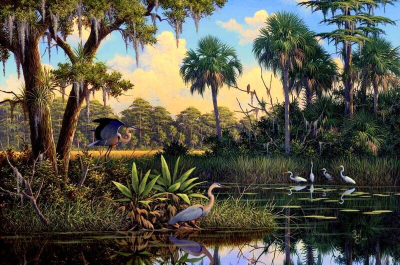 Herons in Swamp — Green