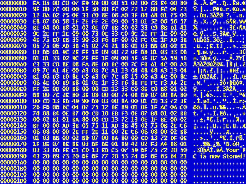 Hexadecimal Data on Screen