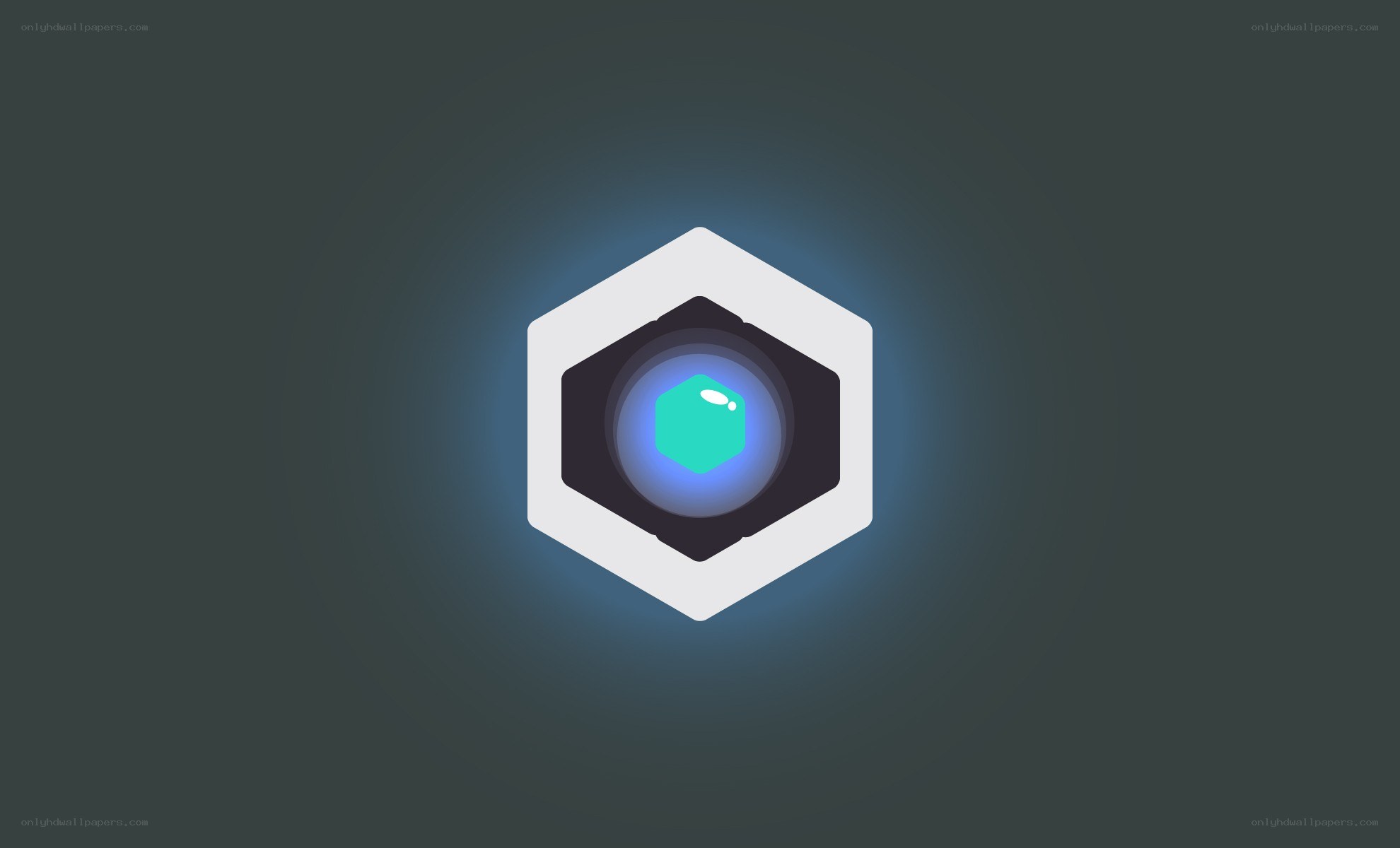 hexagon camera icon