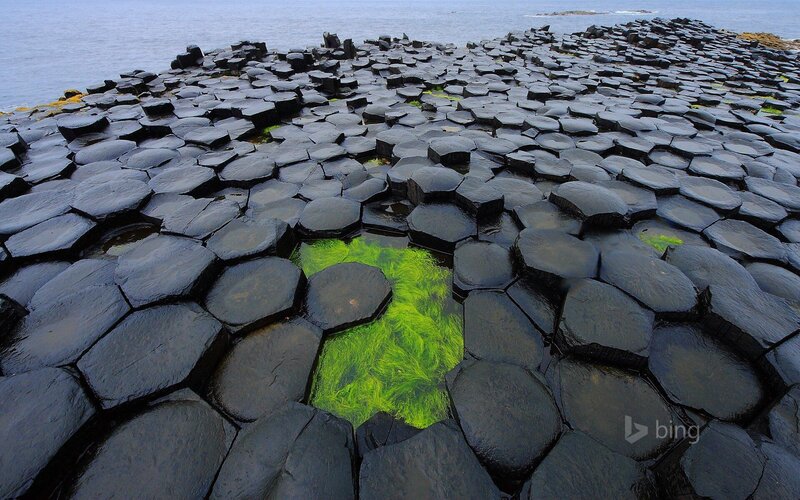 Hexagonal Basalt Columns — Black, Natural