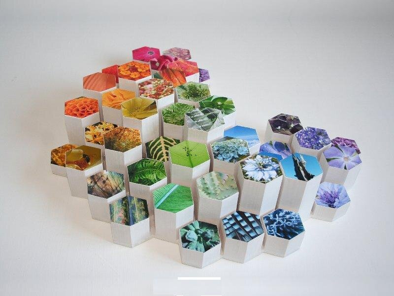 Hexagonal Blocks with Images