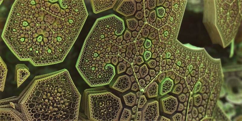 Hexagonal Cellular Structures