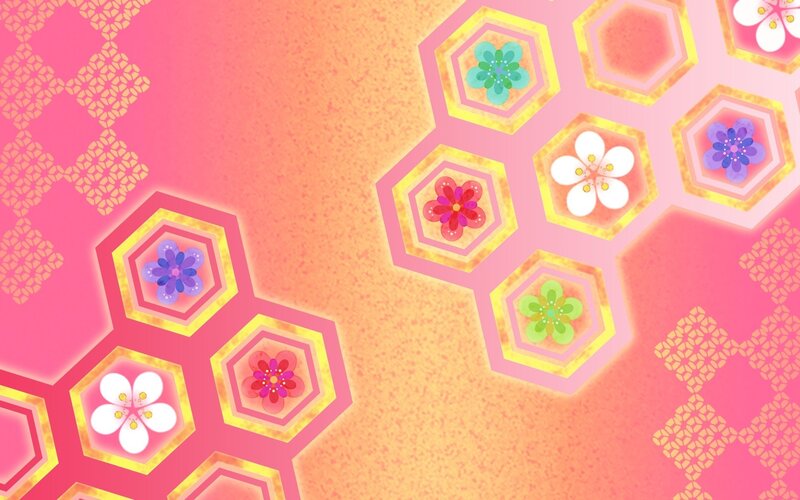 Hexagonal Flower Patterns