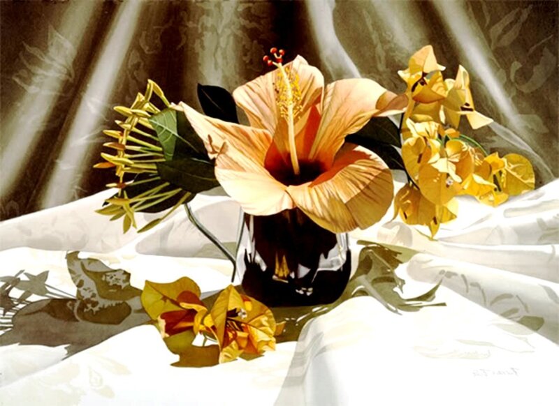 Hibiscus and Bougainvillea Flowers