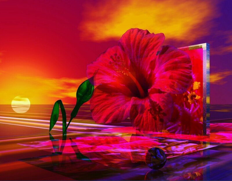 Hibiscus at sunset