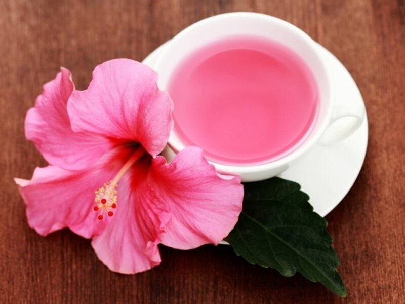 Hibiscus Flower and Tea