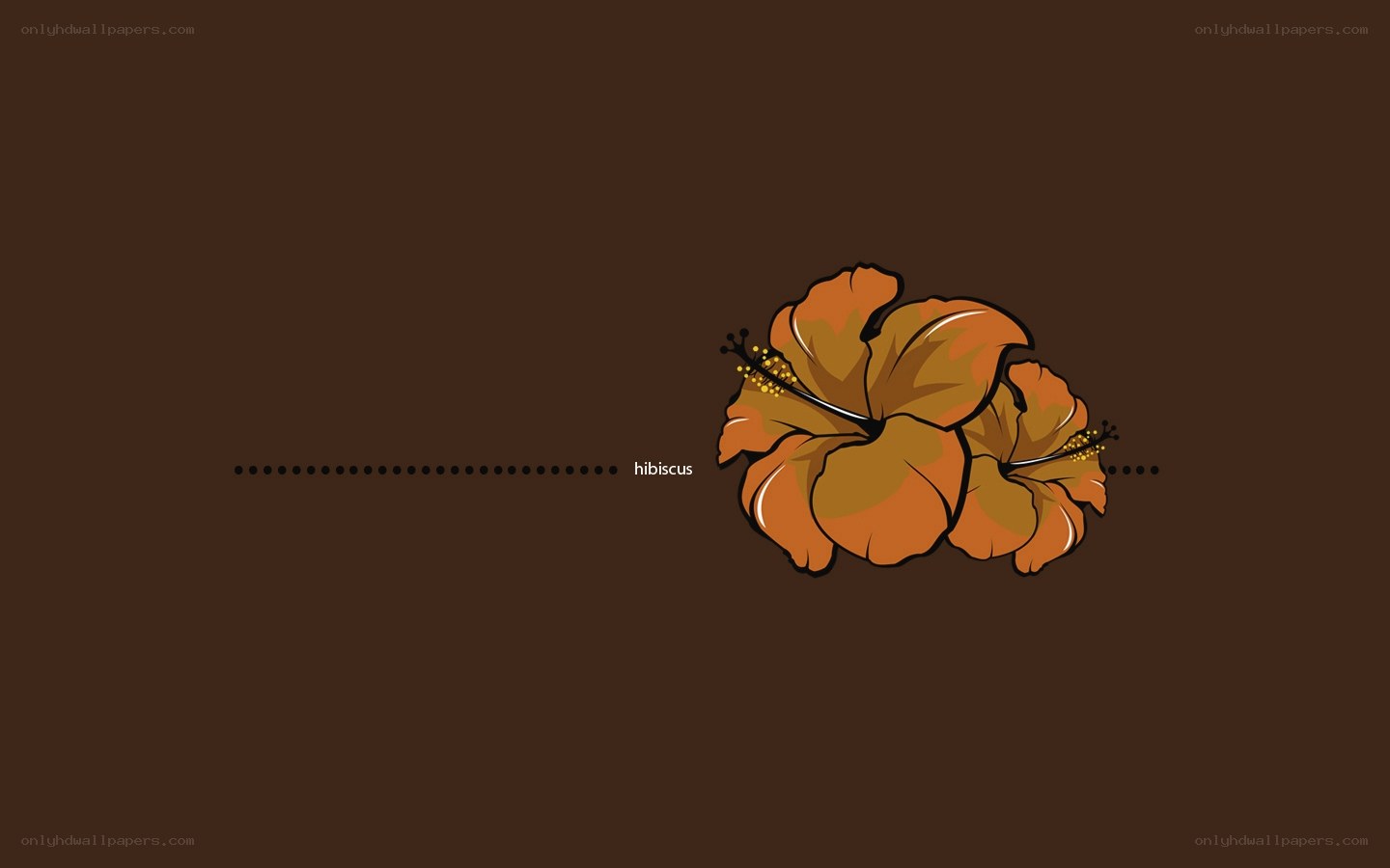 hibiscus flower illustration