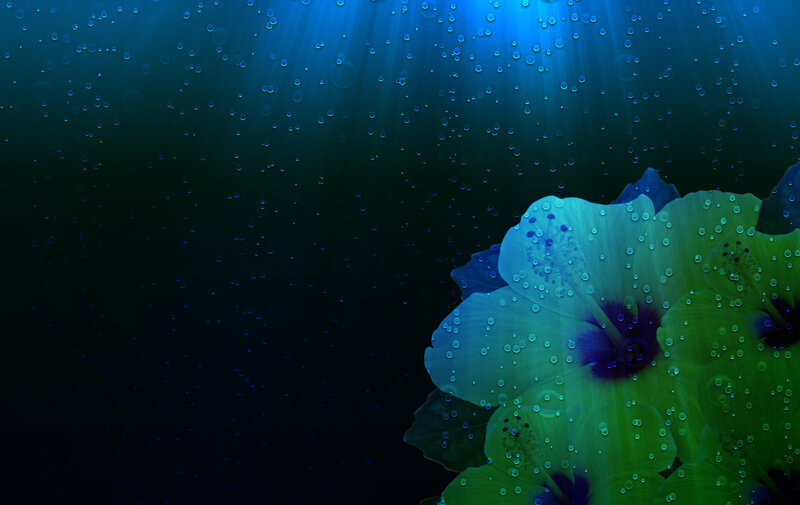 Hibiscus Flower Underwater
