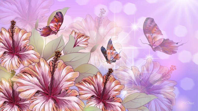 Hibiscus Flowers and Butterflies — Purple