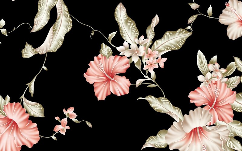 Hibiscus Flowers and Leaves — Black