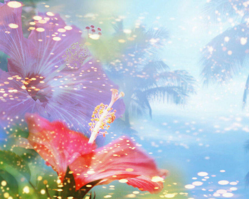 Hibiscus Flowers and Palm Trees — Pink, Dreamy, Afternoon