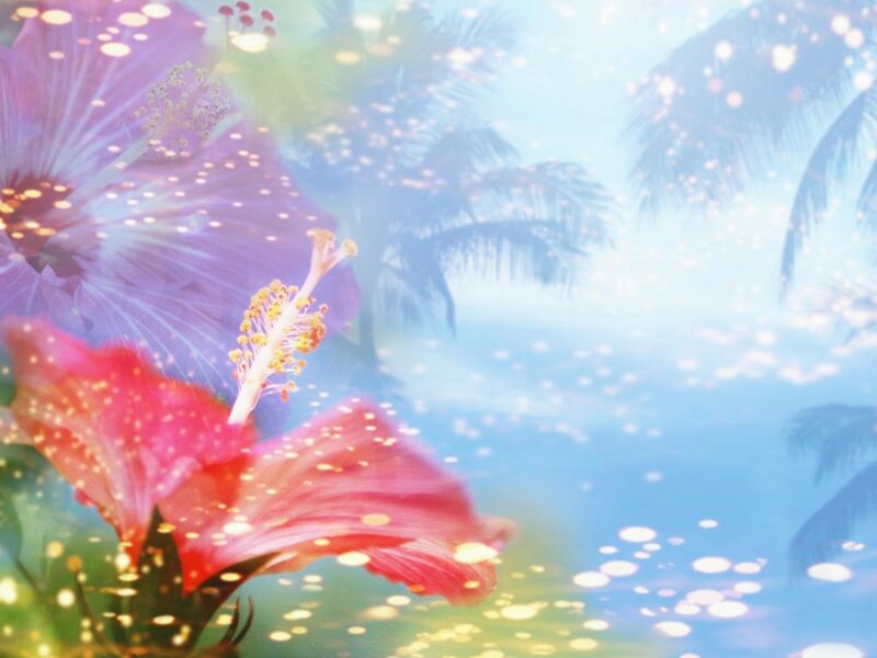 Hibiscus Flowers and Palm Trees — Pink, Dreamy