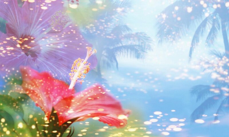 Hibiscus Flowers and Palm Trees — Pink, Serene