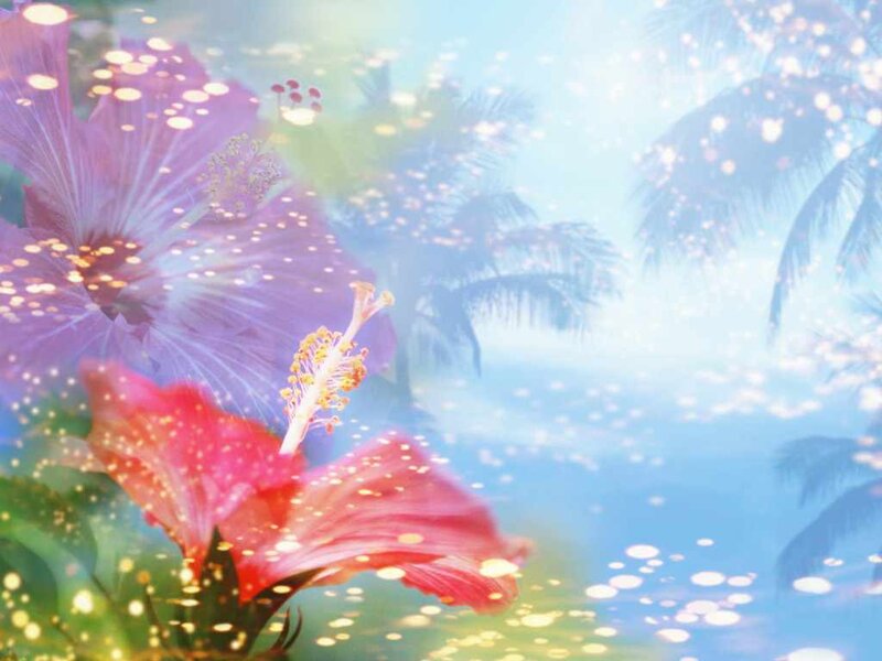 Hibiscus Flowers and Palm Trees