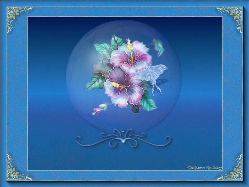 Hibiscus Flowers in Sphere