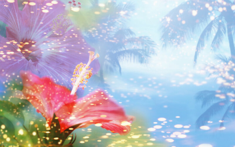 Hibiscus Flowers in Tropical Scene