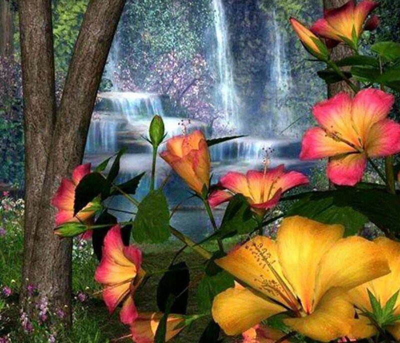 Hibiscus Flowers Near Waterfall