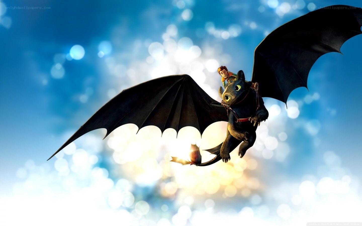Hiccup and Toothless flying