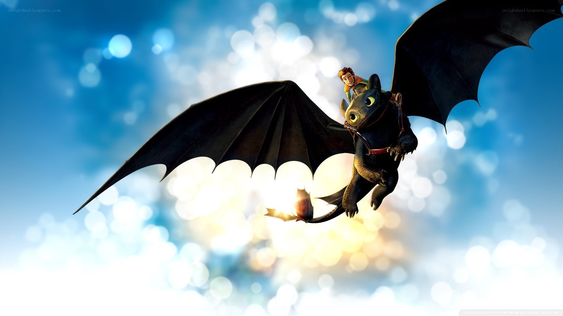 Hiccup and Toothless flying