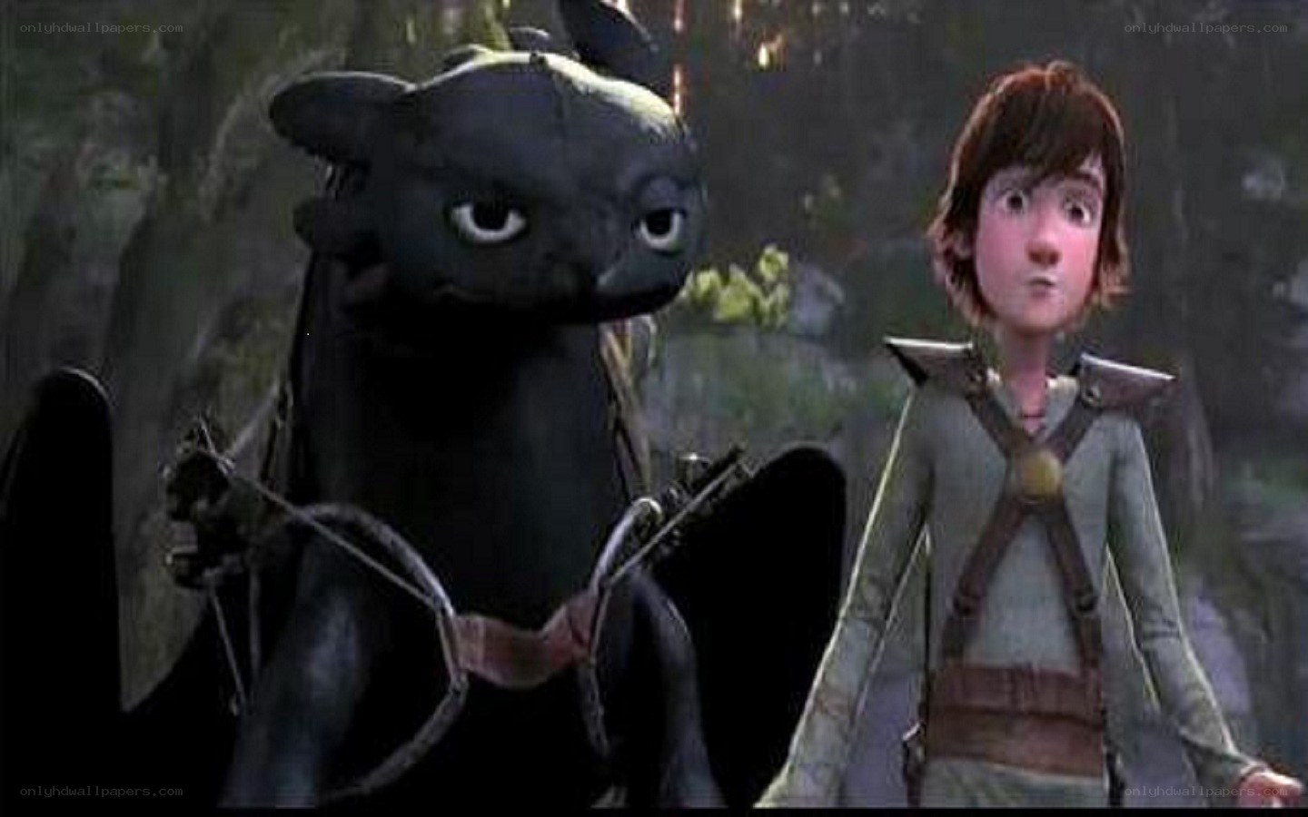 Hiccup and Toothless in forest