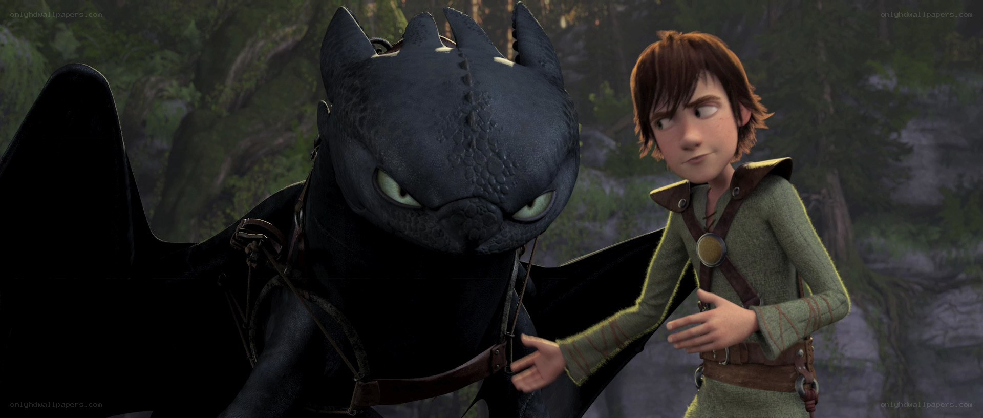 Hiccup and Toothless in forest