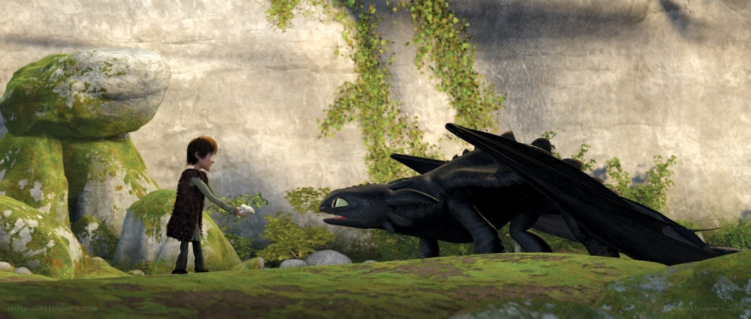 Hiccup and Toothless in the cave
