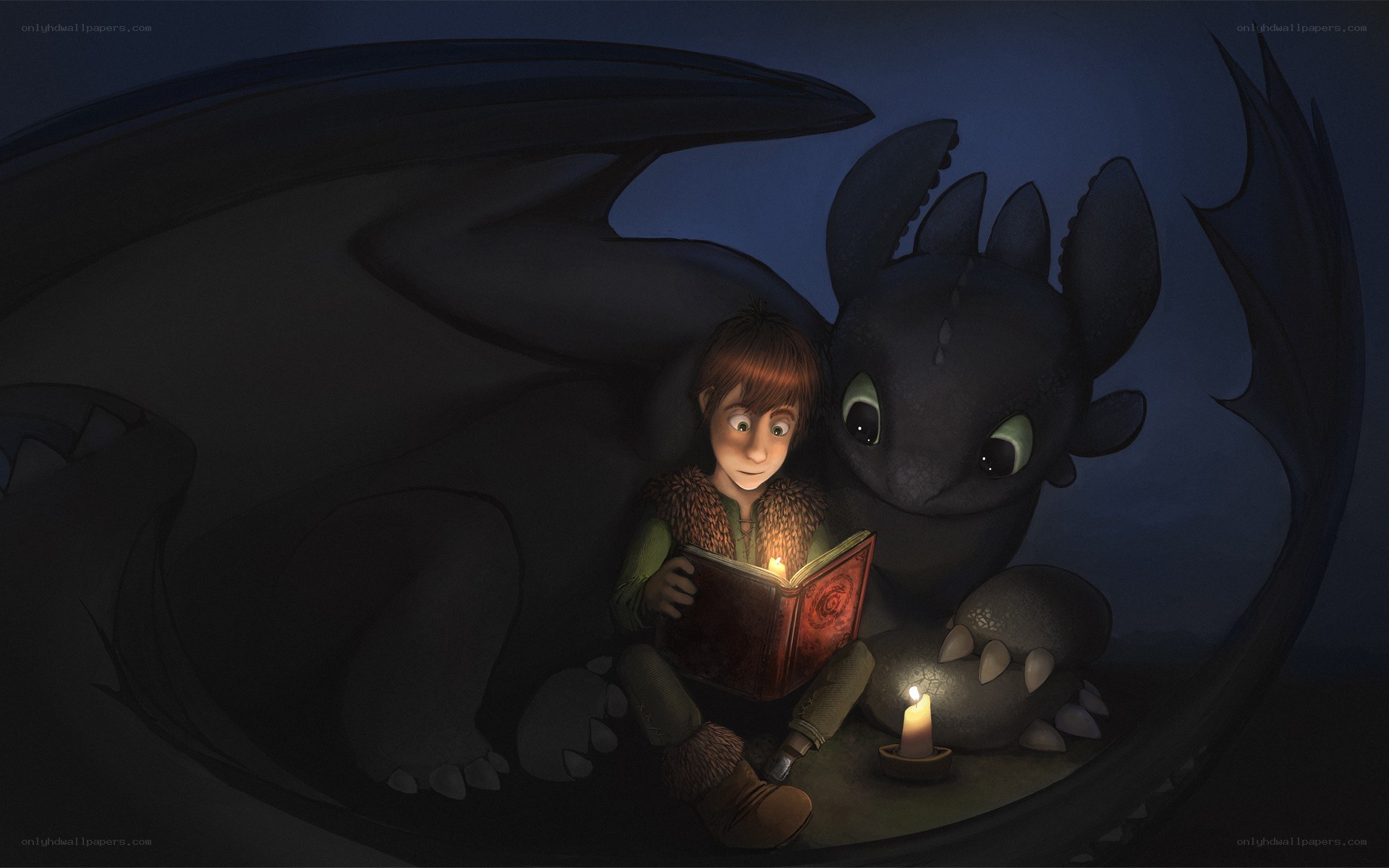 Hiccup and Toothless reading together