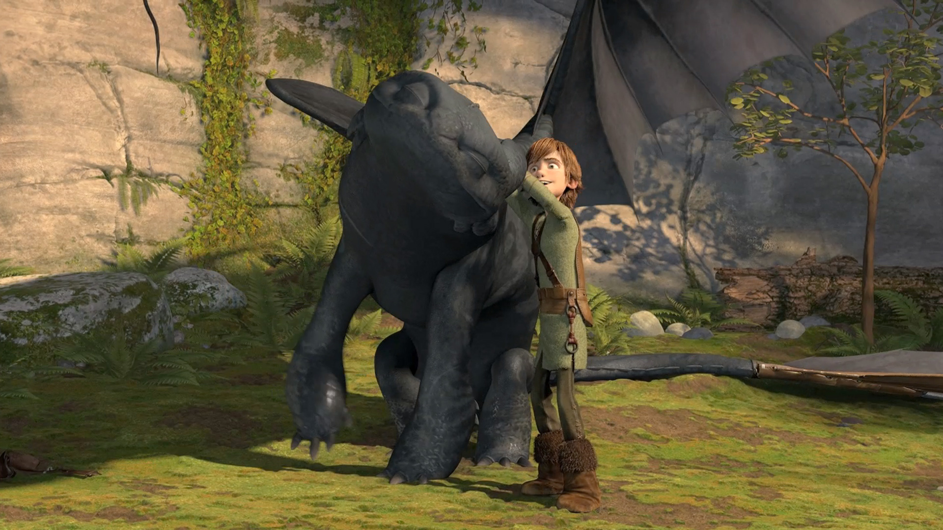 Hiccup and Toothless together