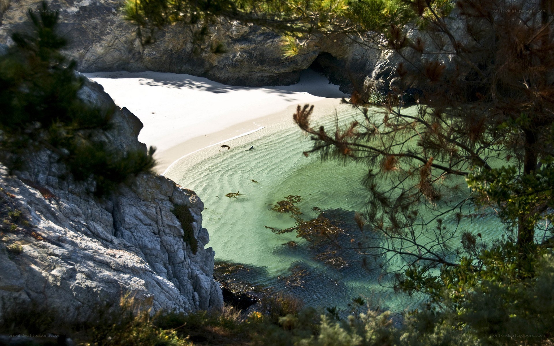 hidden cove with white sand beach