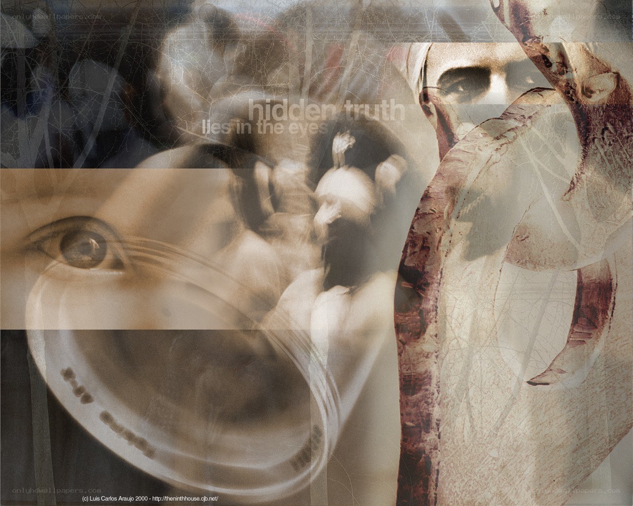 hidden truth lies in the eyes