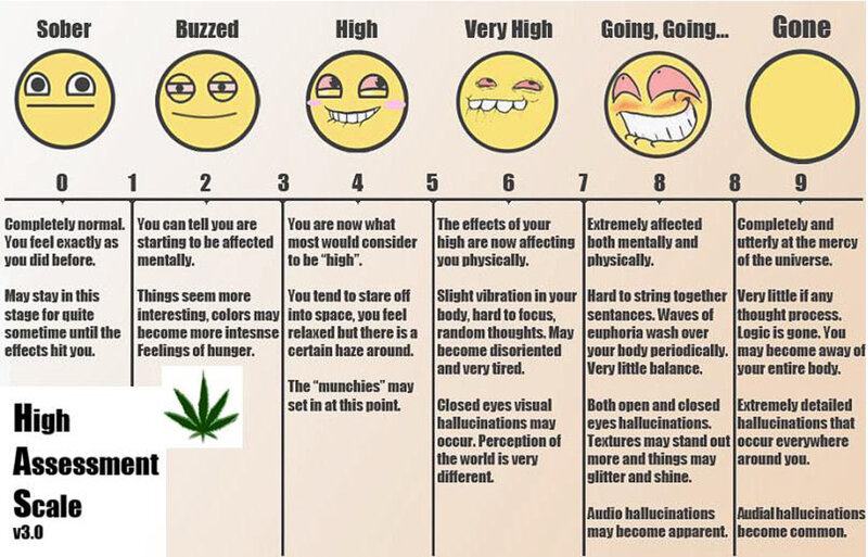 High Assessment Scale v3.0