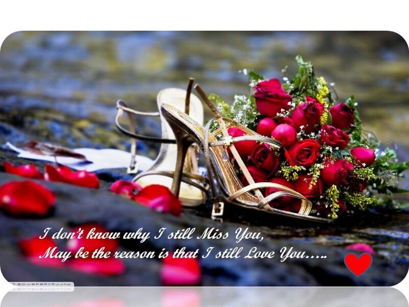 High-heeled Shoes and Roses