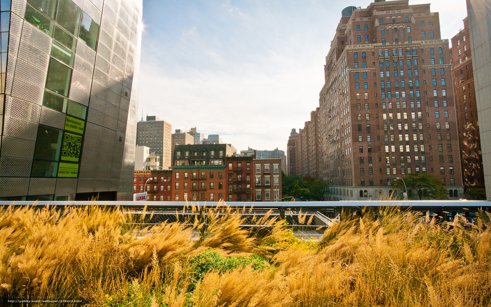 High Line park with city view