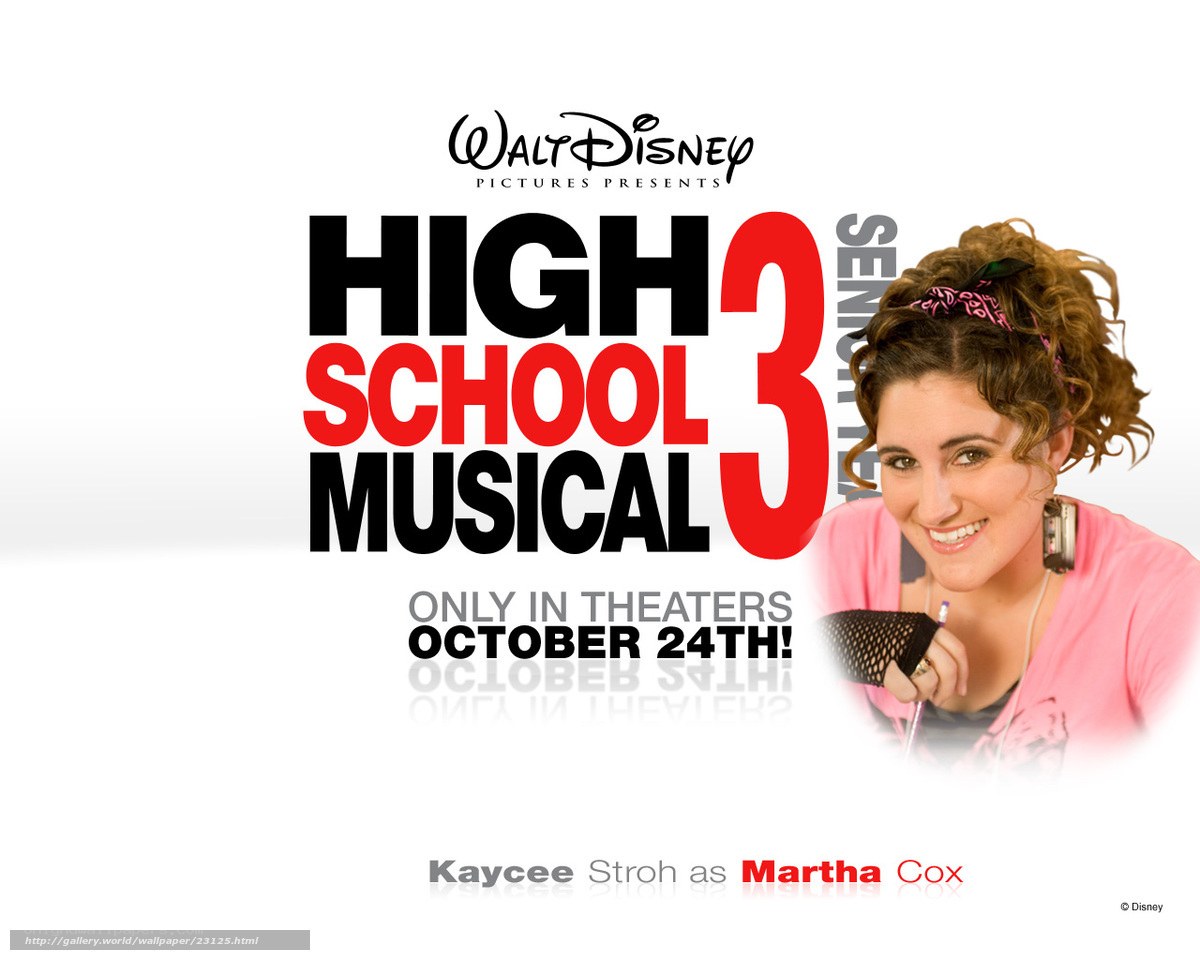 High School Musical 3 poster