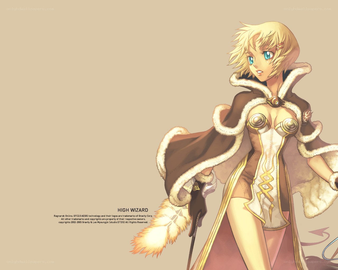 High Wizard character art