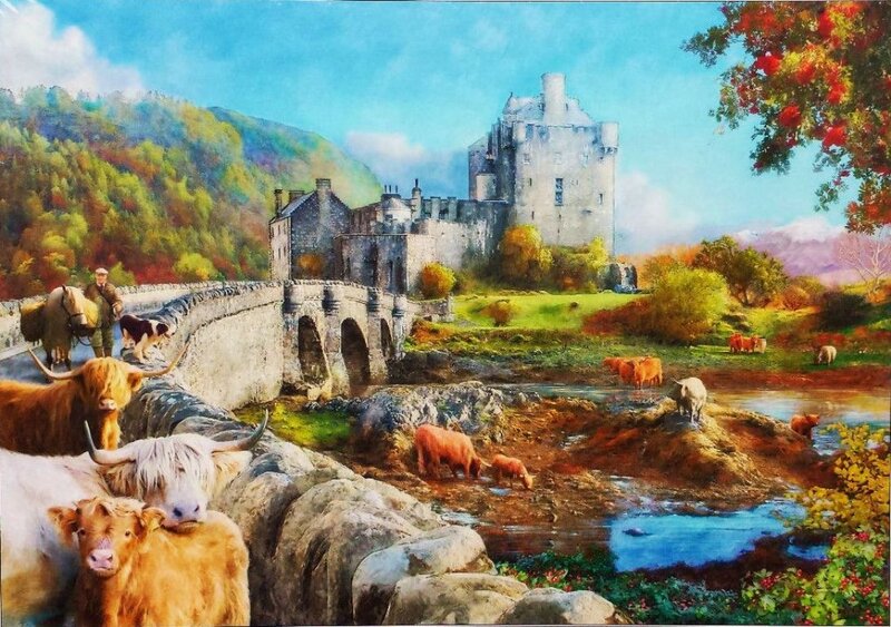 Highland Cattle Near Castle