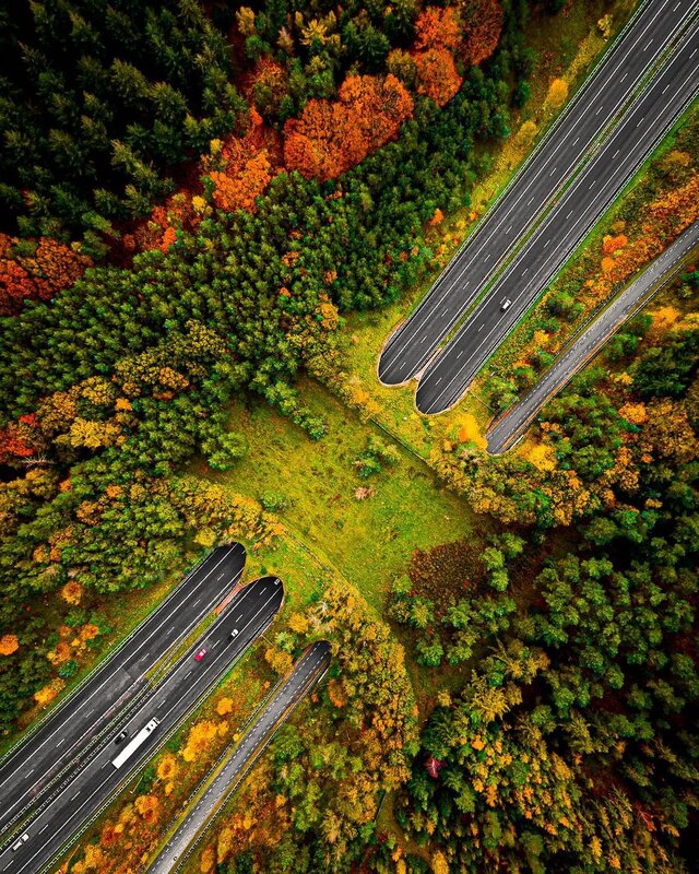 Highway Intersection in Forest