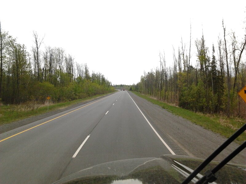 Highway Through Forest — Gray