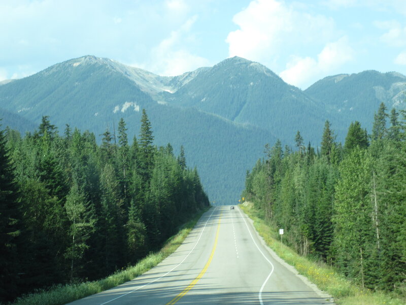 Highway Through Forest — Green