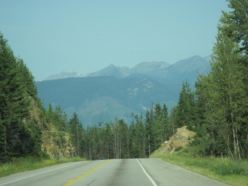 Highway Through Forest