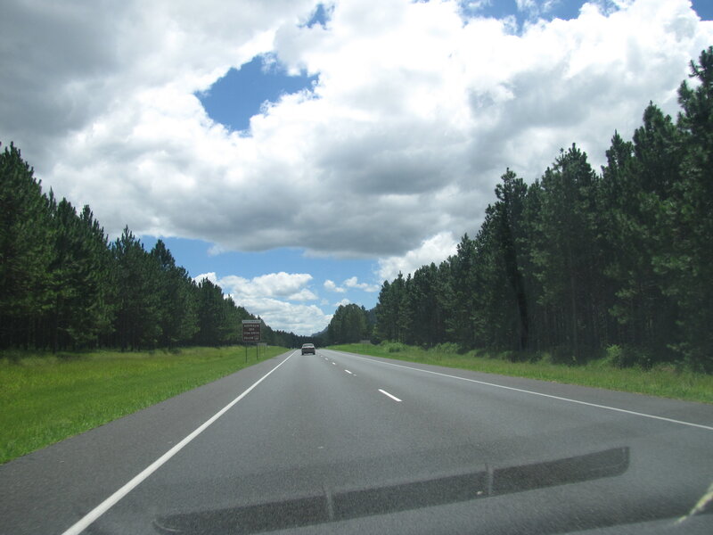 Highway through forested area