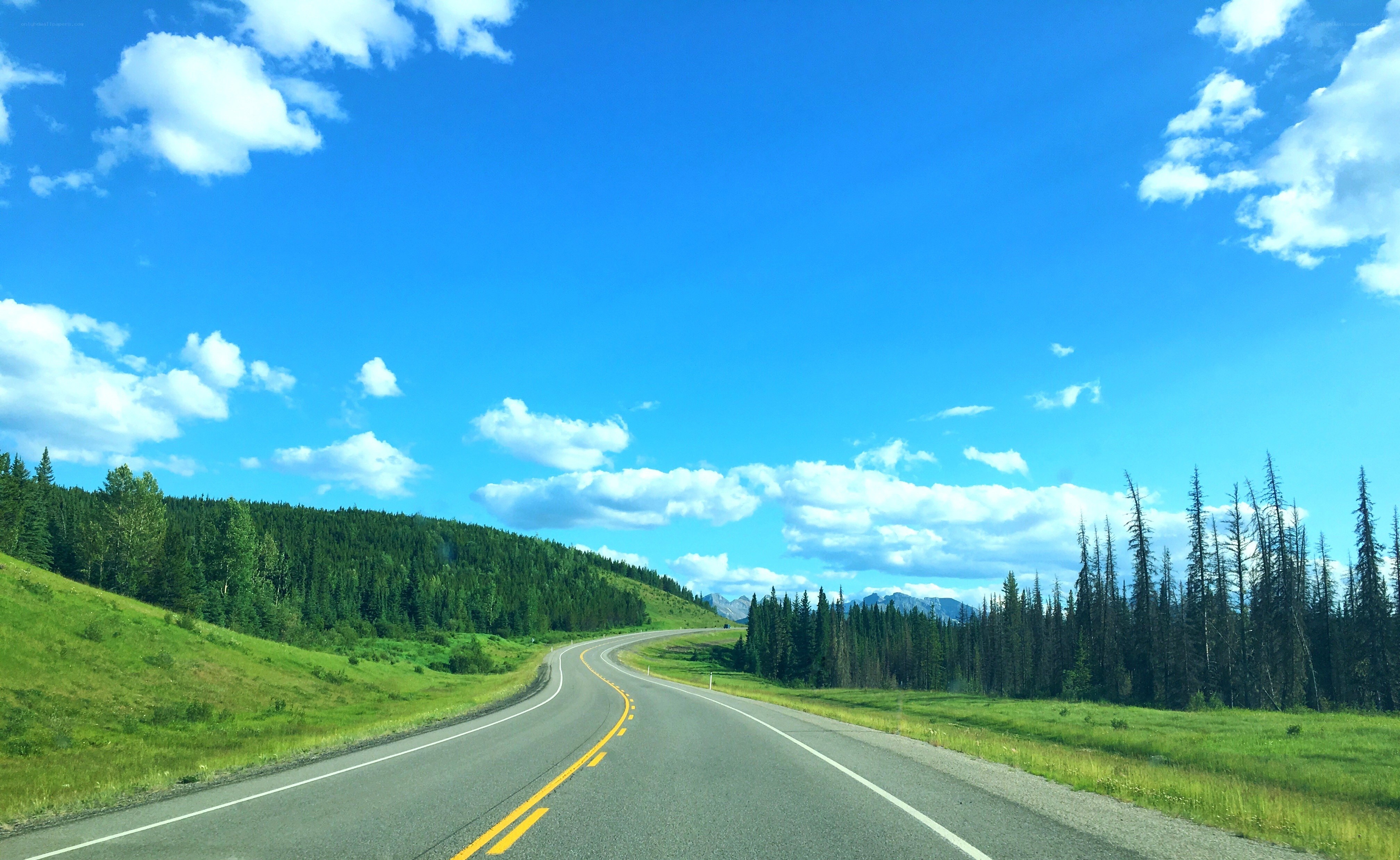 Highway through forested hills