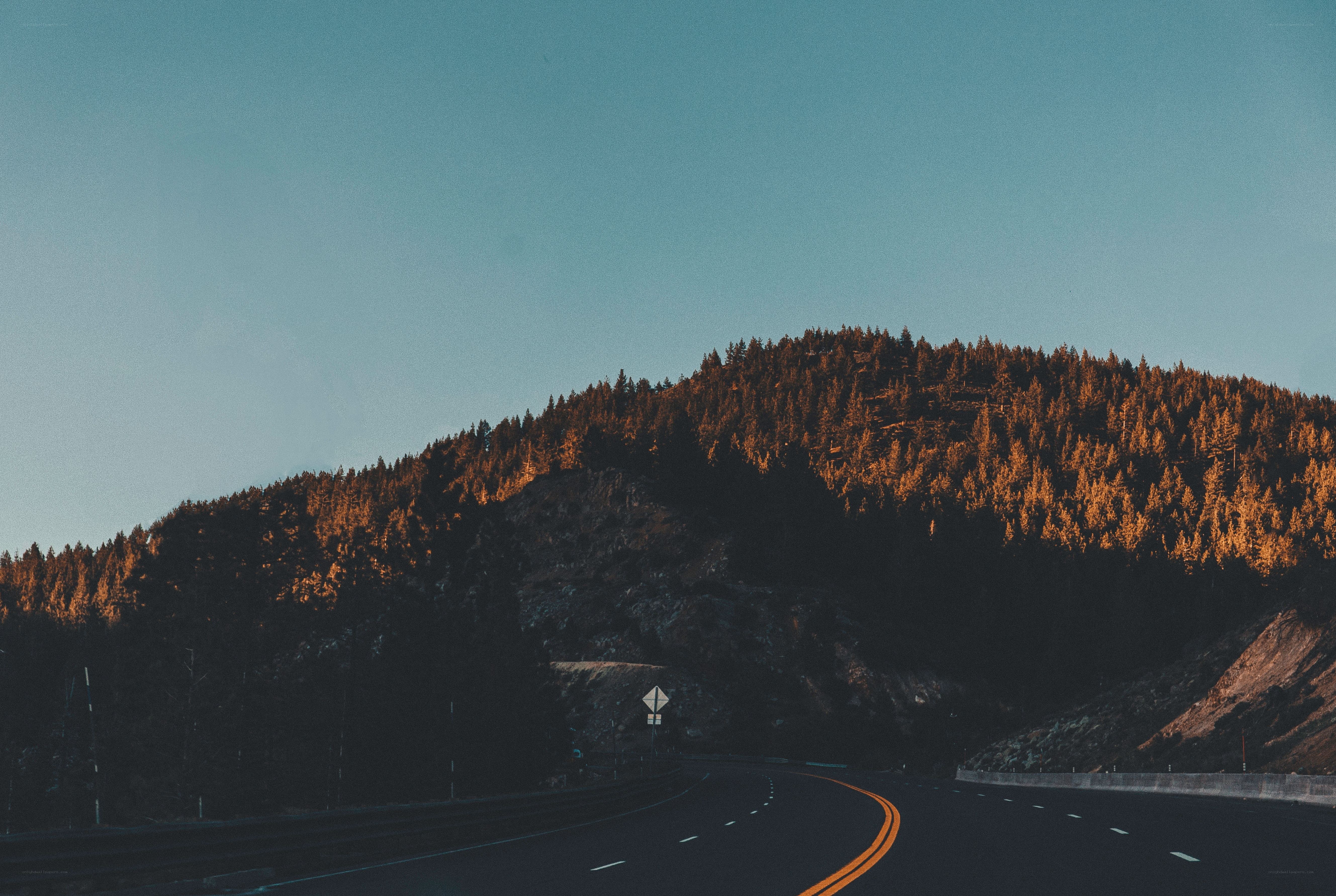 Highway through forested hills