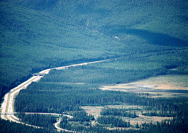 highway through forested mountains