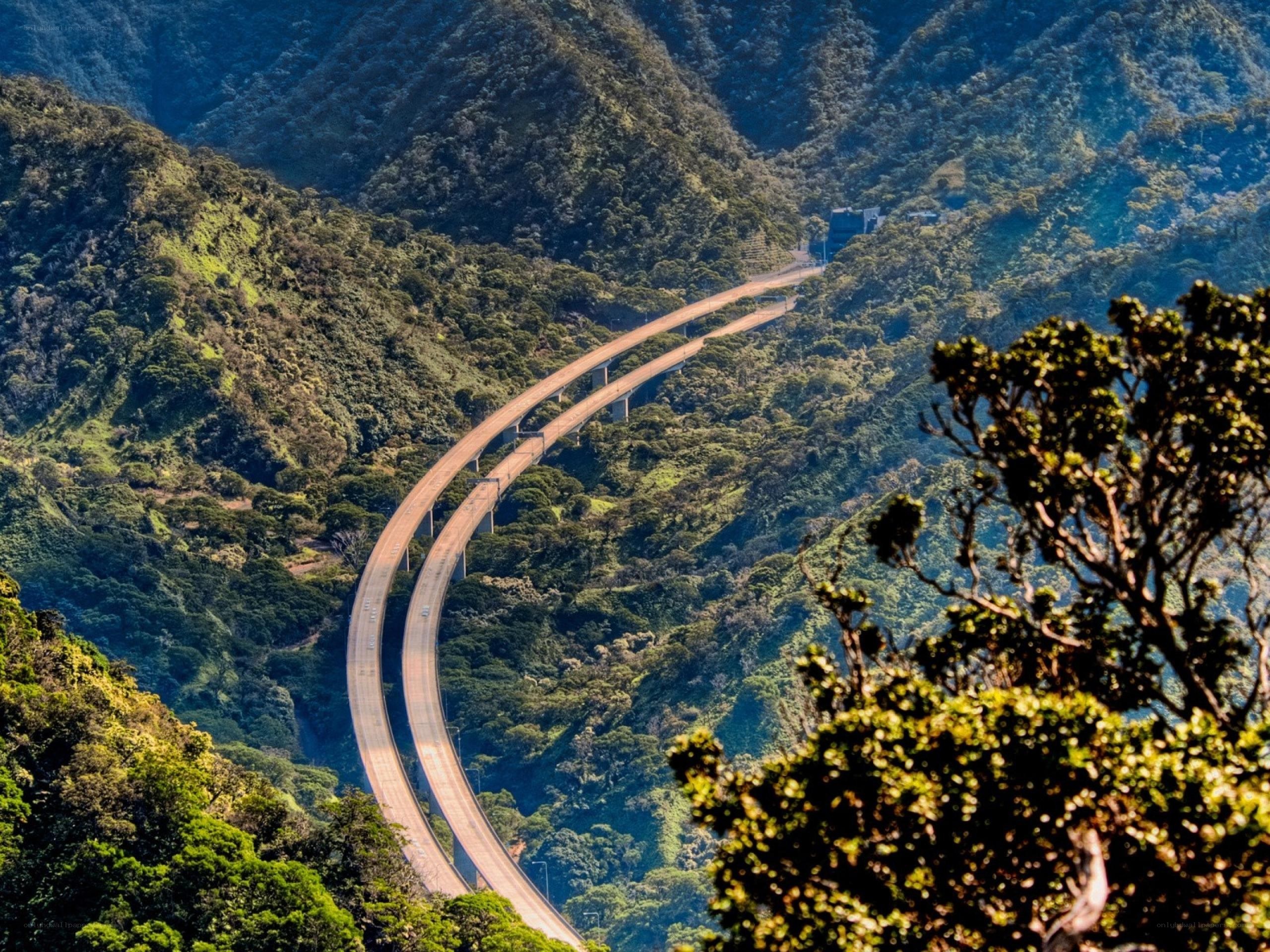 Highway winding through lush mountains