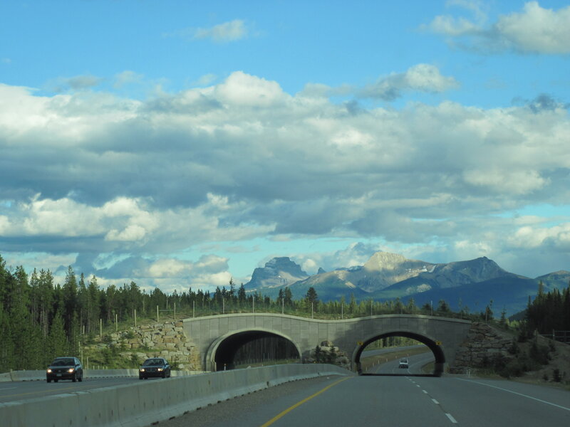 Highway with Mountain View — Blue