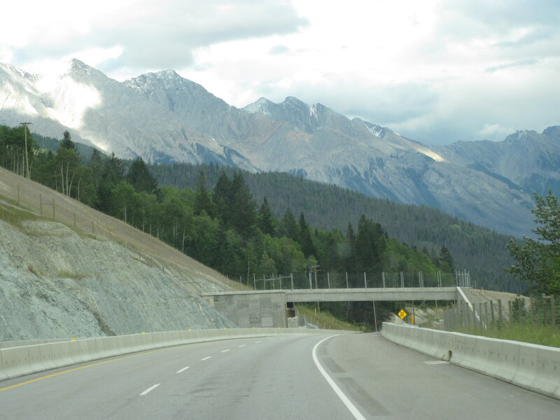 Highway with Mountain View — Gray