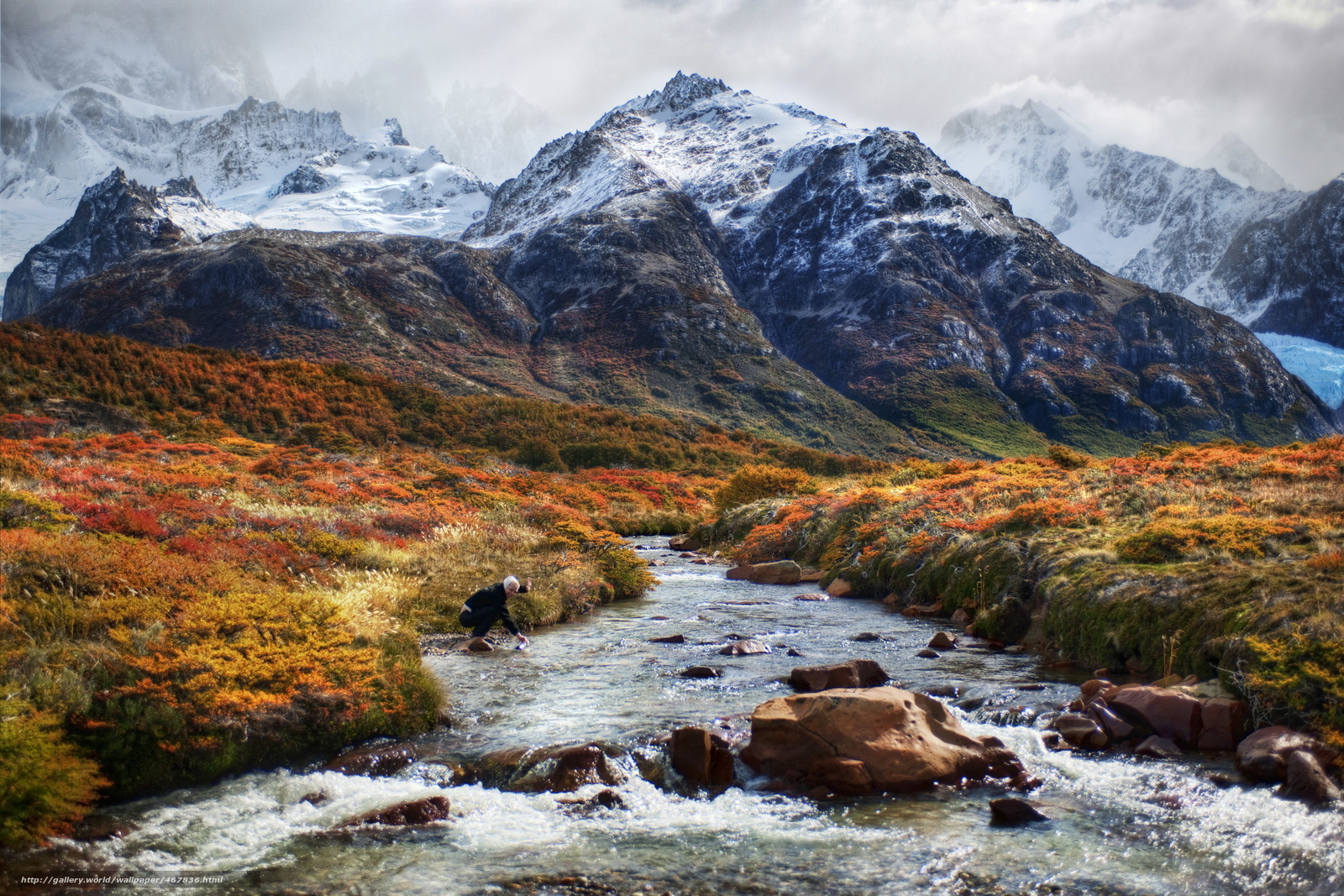 Hiker by a mountain stream
